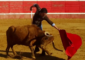 Studio_20160321_095452