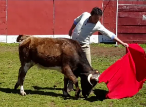 Studio_20160324_154806