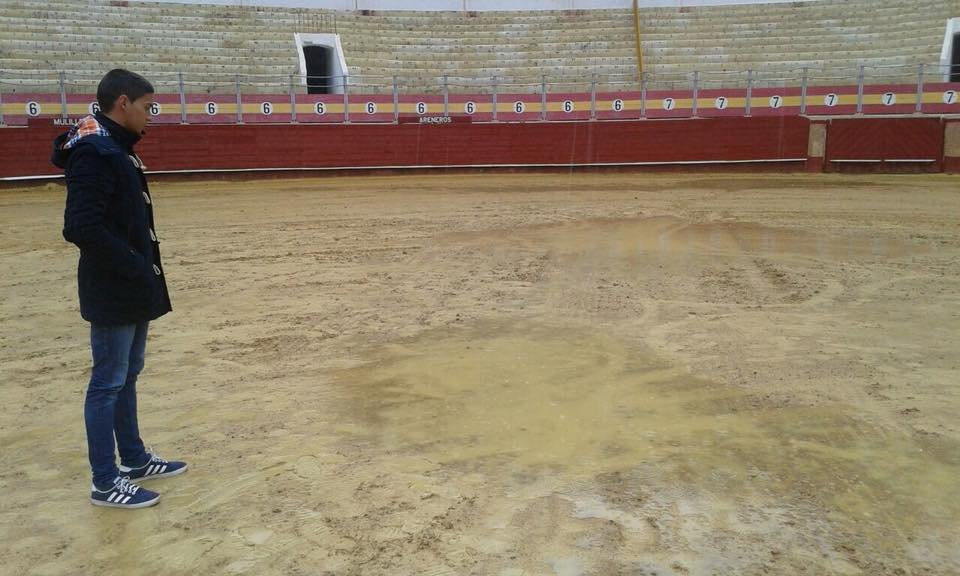 28576823 1608933709160514 2769559521377386496 n