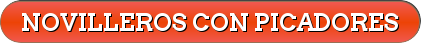 button novilleros con picadores