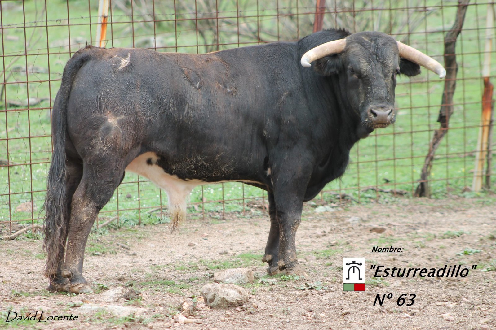 Nº 63 Miranda y Moreno 2