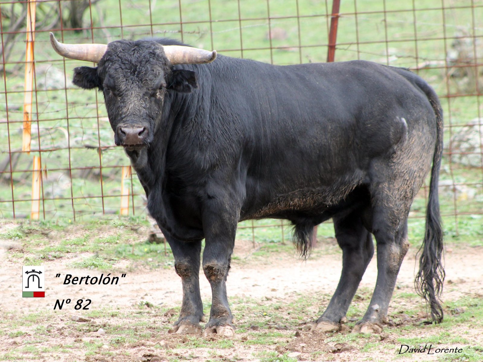 n 82 miranda y moreno 2