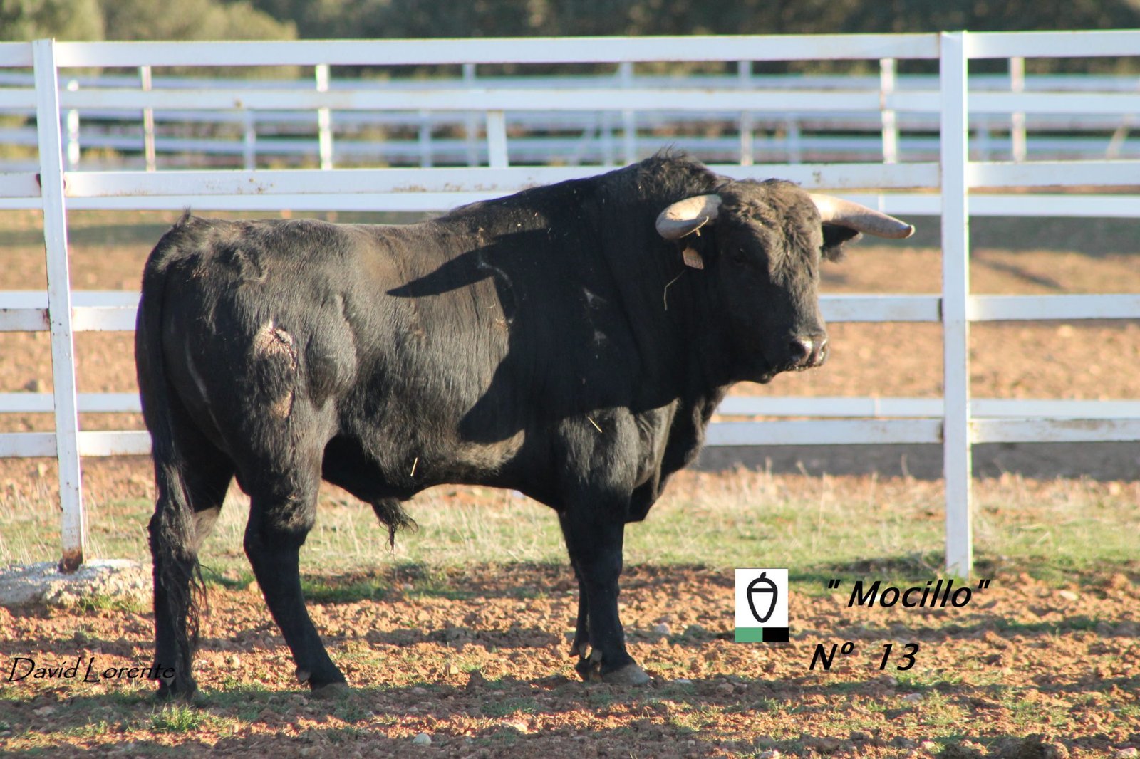 nº 13 los chospes 2