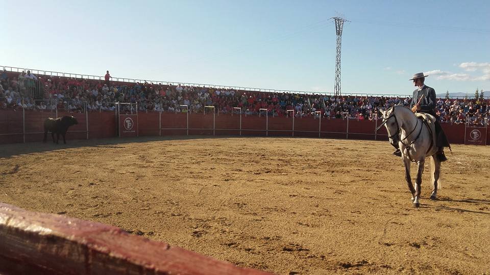 37774457 1740466246008244 7415329519797534720 n