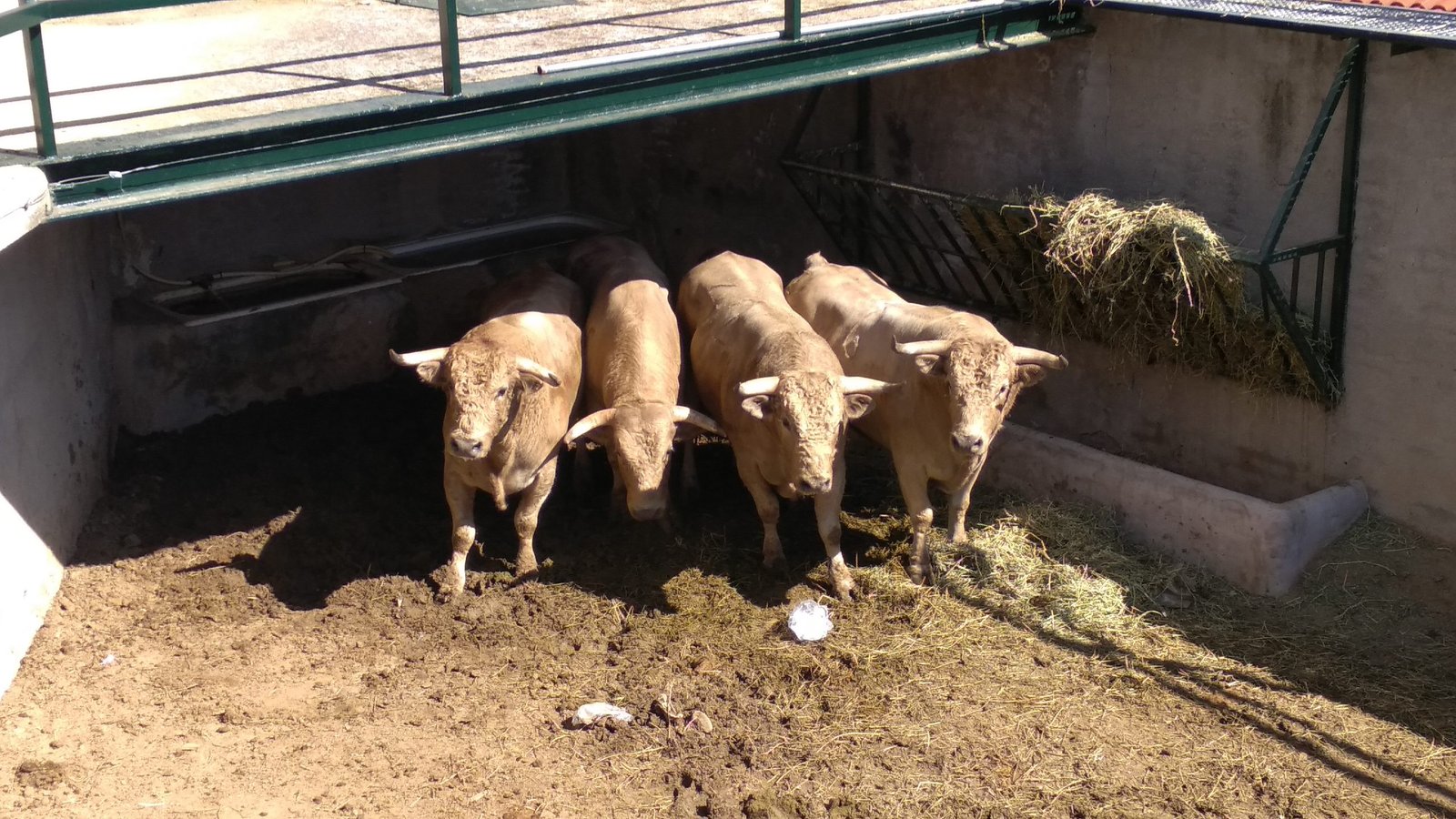 IMG 20180910 115742 scaled