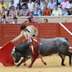 WhatsApp Image 2018 09 06 at 19.56.33