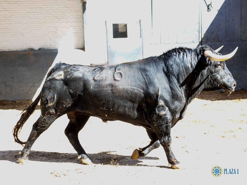 181ce57d d2d3 4709 8b0d 340243820f6b