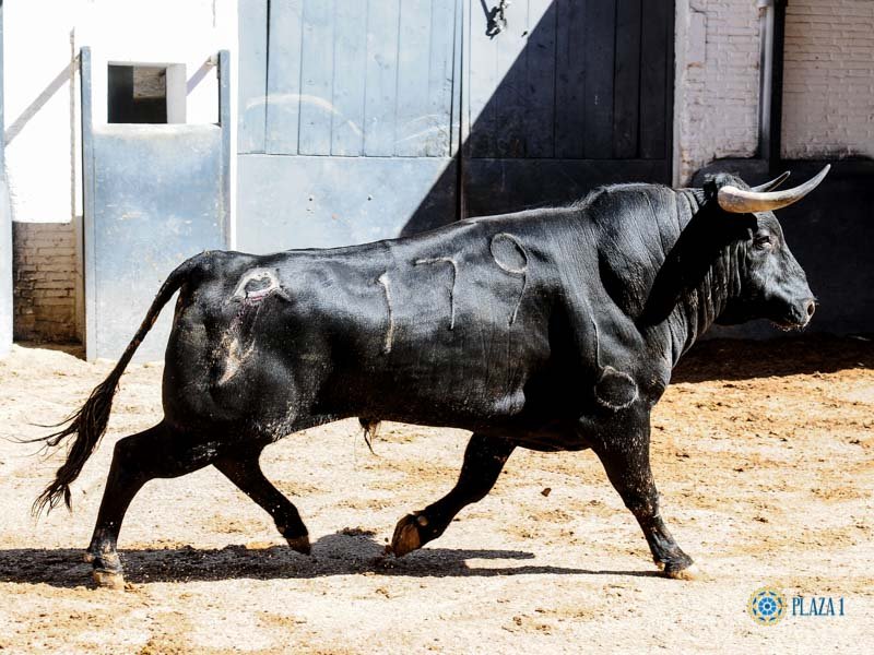 6185a5a2 f7cb 4f40 8c47 579004f23d09