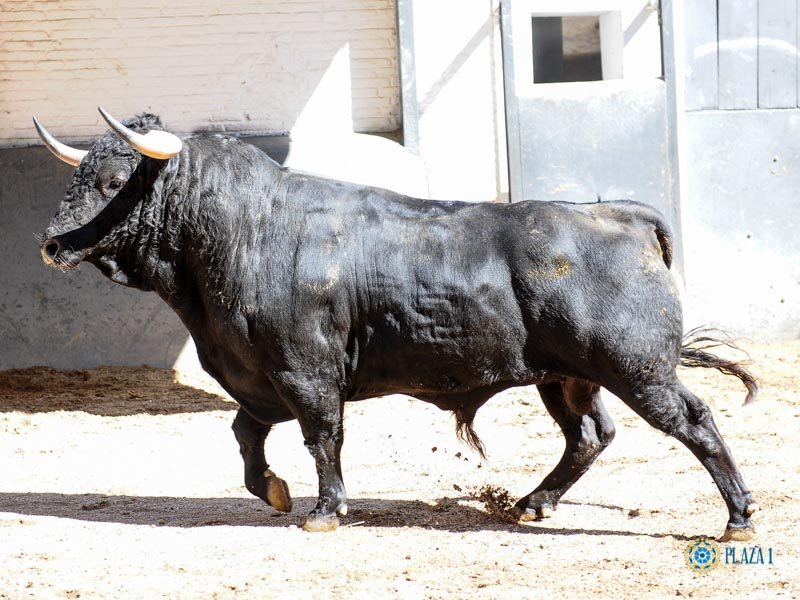 7823d67b f785 4d79 9eb4 41b3a883ed39