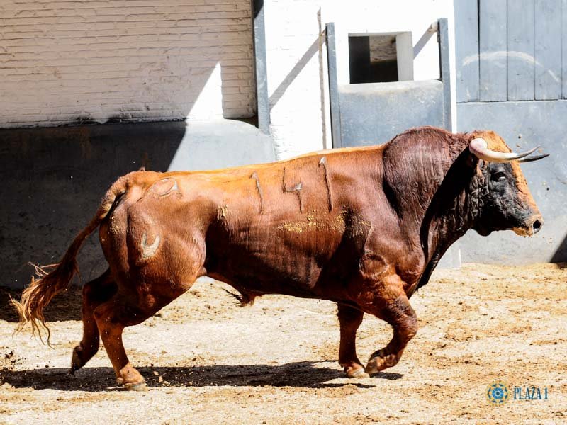 dd530ab3 552a 437c aac0 3c2329c4958c