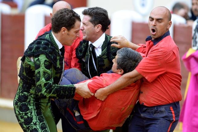 valladolid monisabio