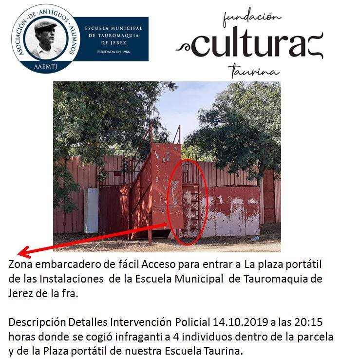 72097398 941261942905825 8379355132910895104 n