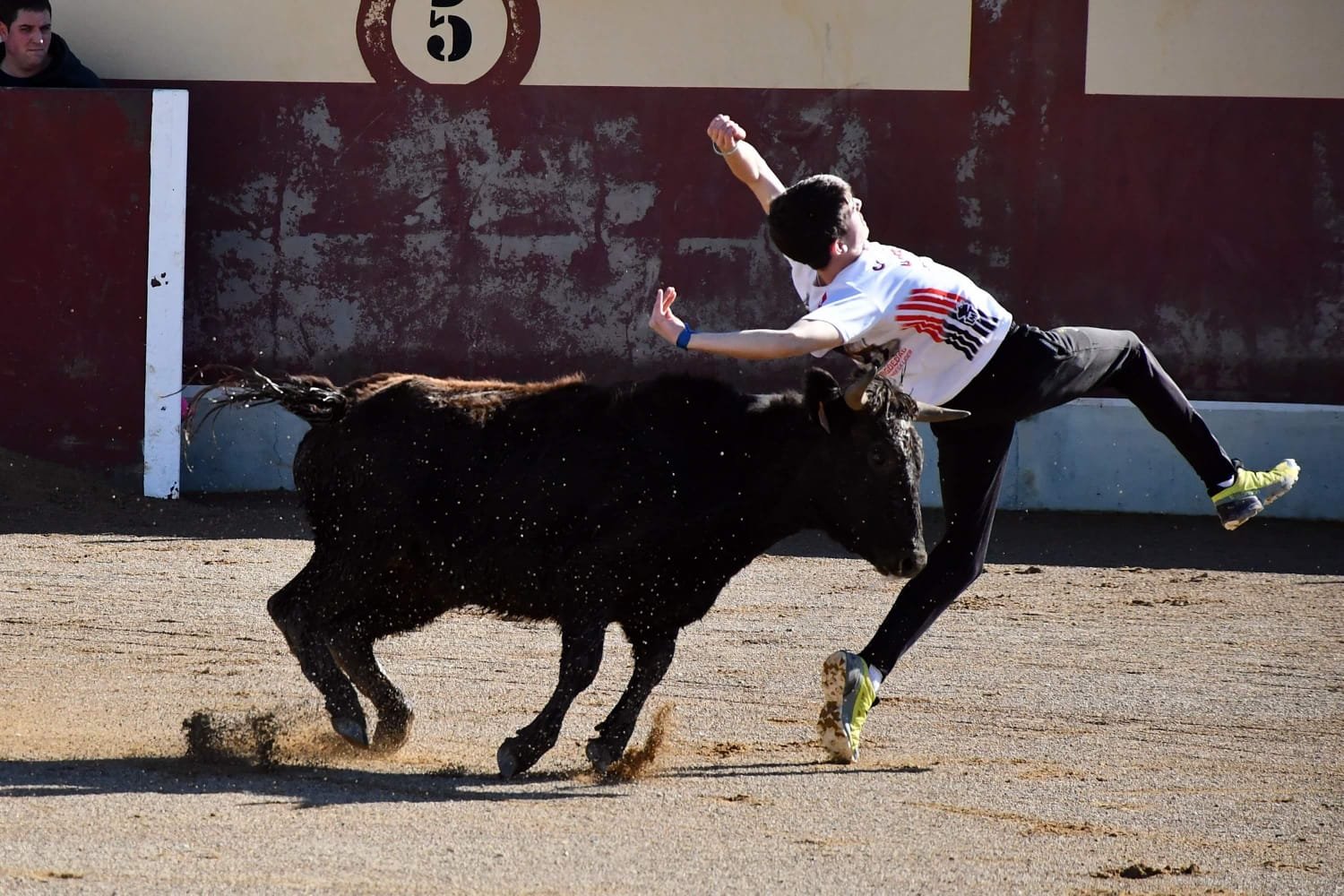 WhatsApp Image 2020 02 03 at 19.45.28