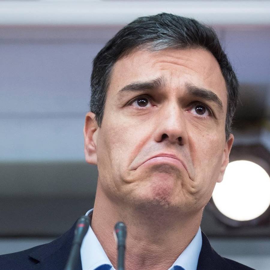 pedro sanchez
