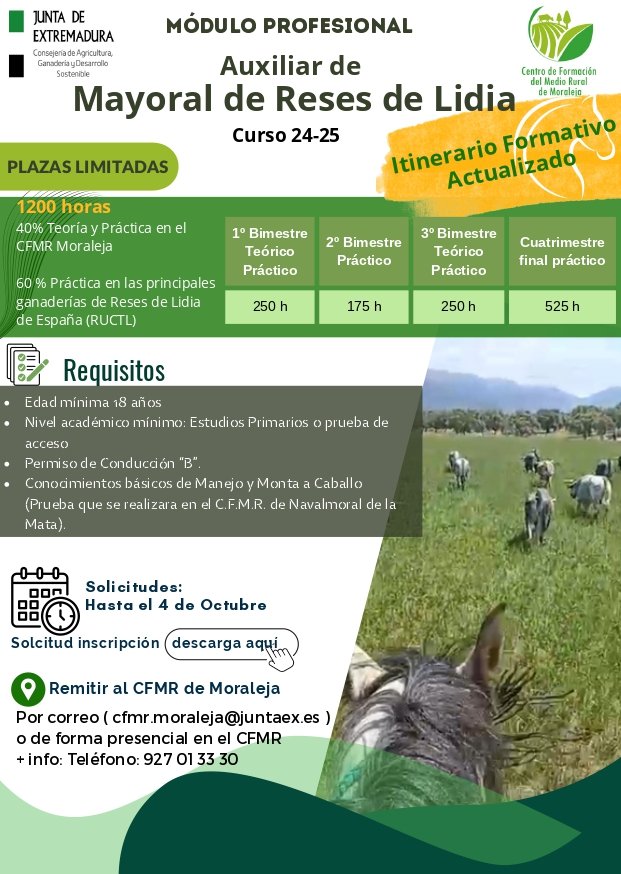 Formacion Auxiliar Mayorales page 0001