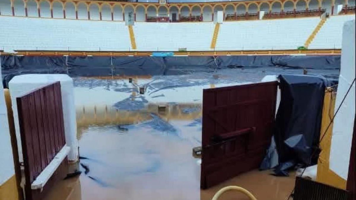 Imagen de WhatsApp 2025 03 08 a las 13.20.02 f8d4a85d