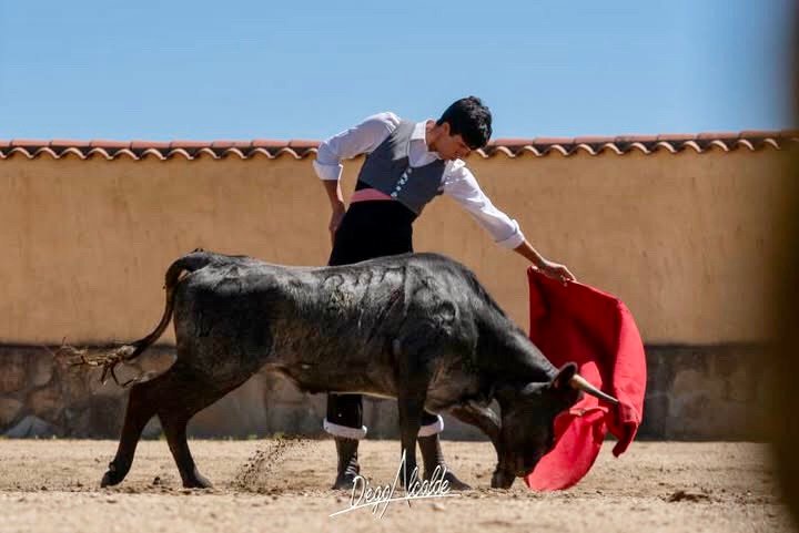 4C49490D 7316 4BFD B77D 683637F80B27 1