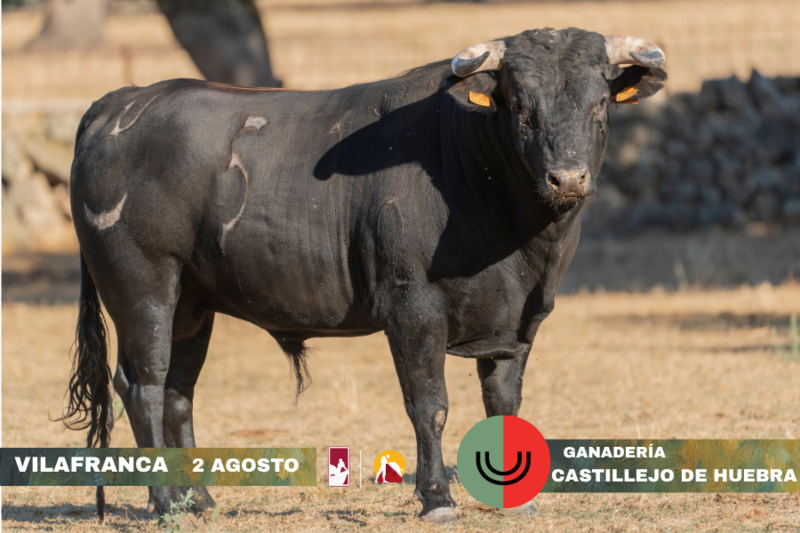 1f7ce66e 8684 238c d0c7 be16a8810b01