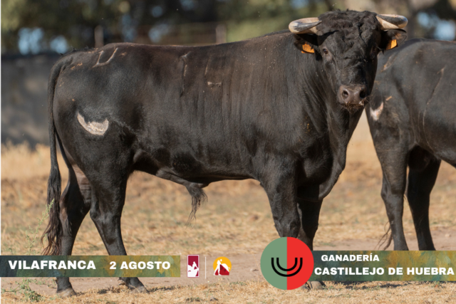 2282ec07 dee6 84d4 87df fd91d8e66e95