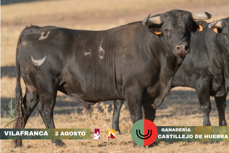 6c1114f5 b221 1e2d 2e90 da2d66f8a677