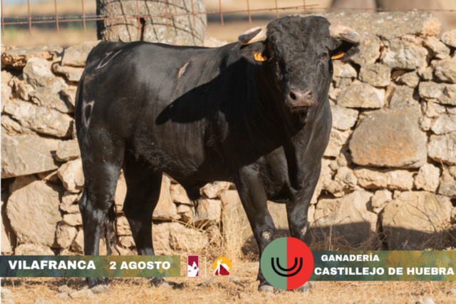 71d4f644 c434 df47 a276 00d338fd9476