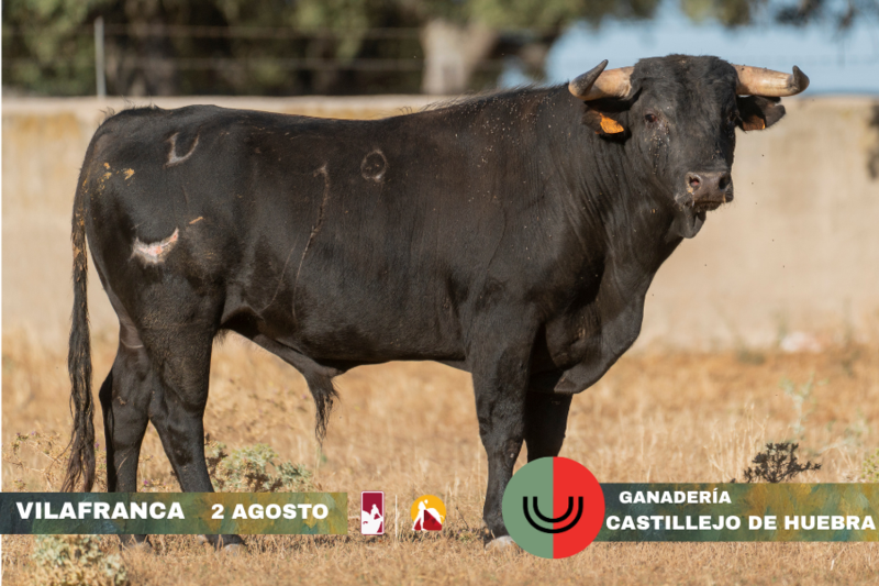 8e2bb9e5 521d 4e23 db4a c89111f56147