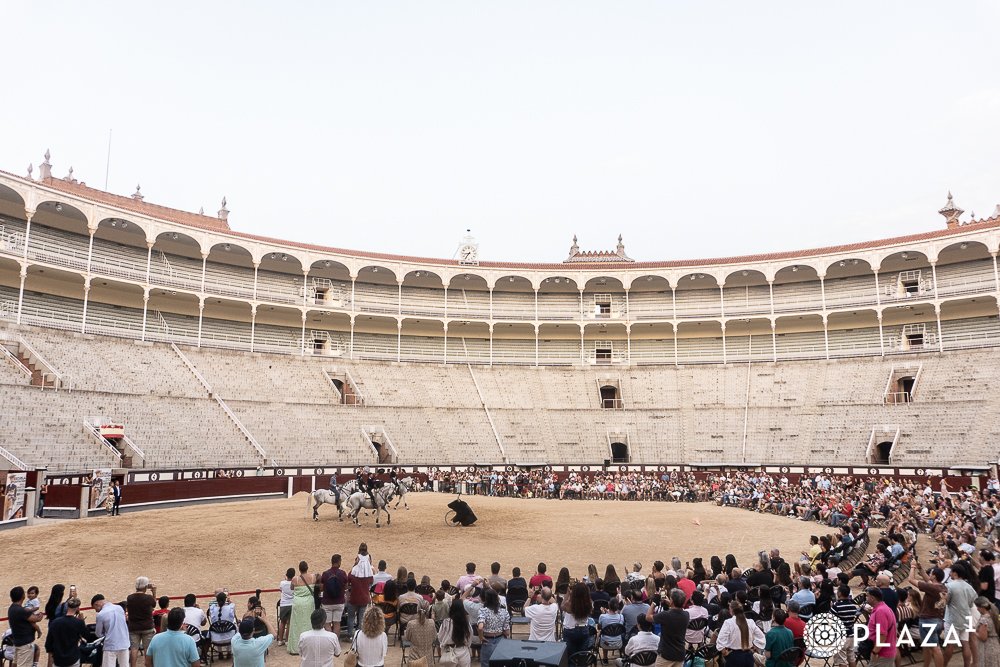 48c05878 674b 343a 66e3 9477b74e7c9a