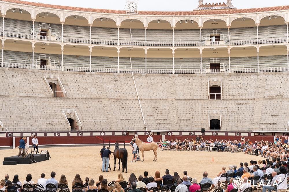 556ad978 aa89 ce2d e761 8767910d7ca6 Copy