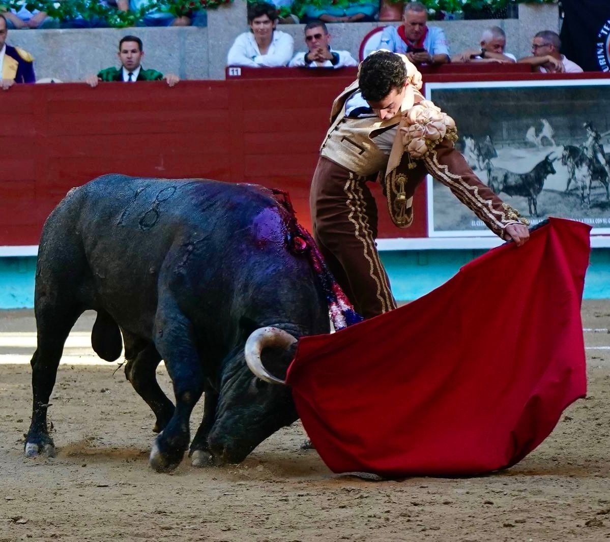 7ae56254 0c8c 4bf2 9aa6 aee4884402d8