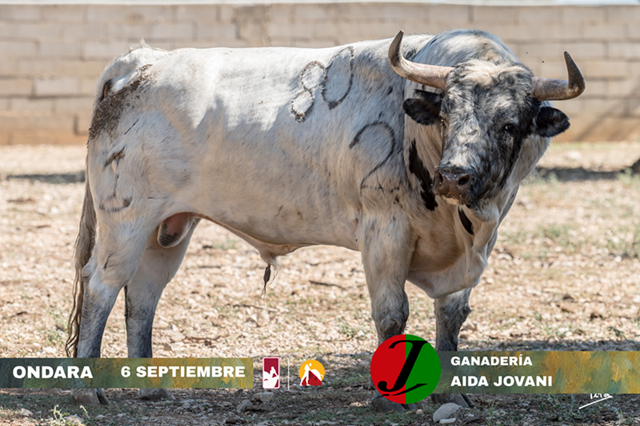 287cedba 1790 270b e9aa 9071407515a9