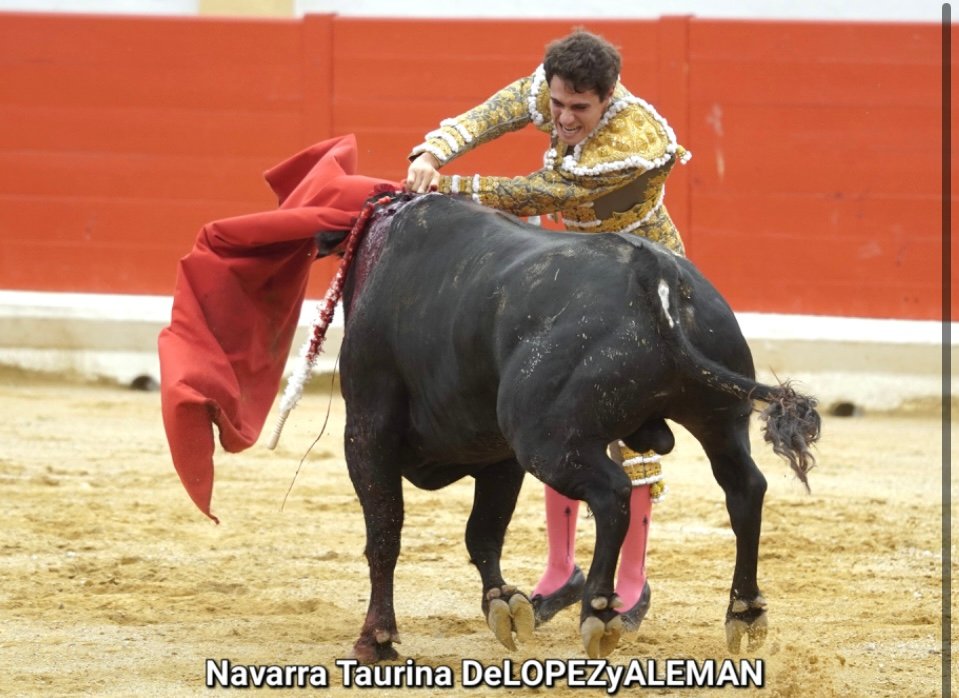 PERALTA 6 TRIGUEROS FOTO NAVARRA TAURINA DELOPEZ Y ALEMAN