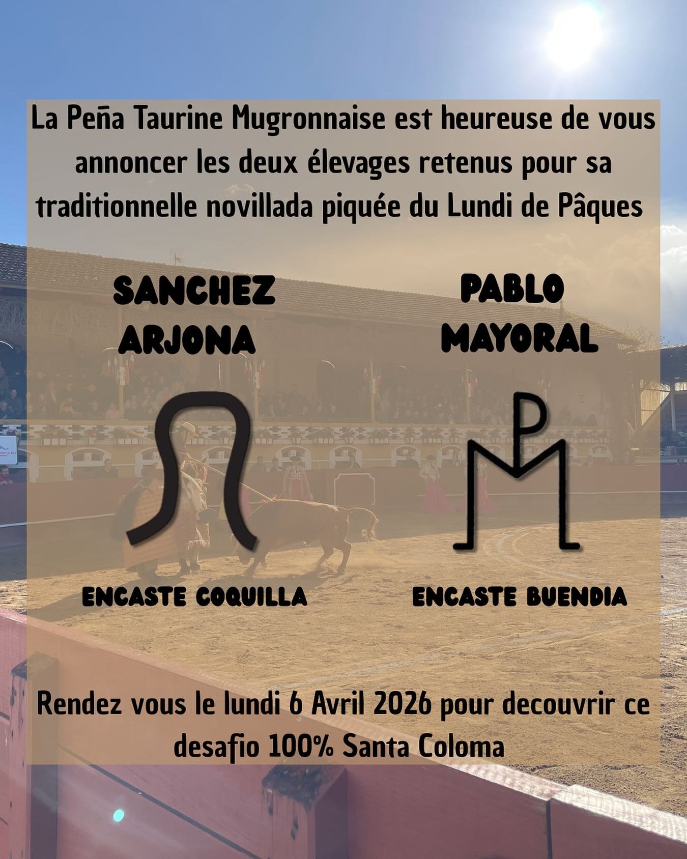 568865020 18344898244203084 5584116416511724969 n