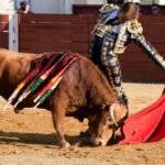 Pedro Gómez: «estar en la Final de Camino hacias Las Ventas es el fruto sembrando de la dura preparación del invierno
