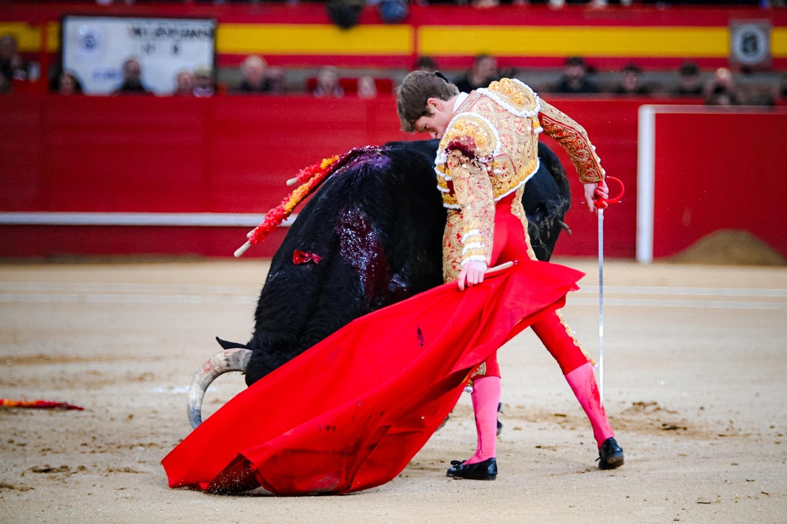 f785e7ca 5eb9 4d58 8e5b 536c27b7fbd1