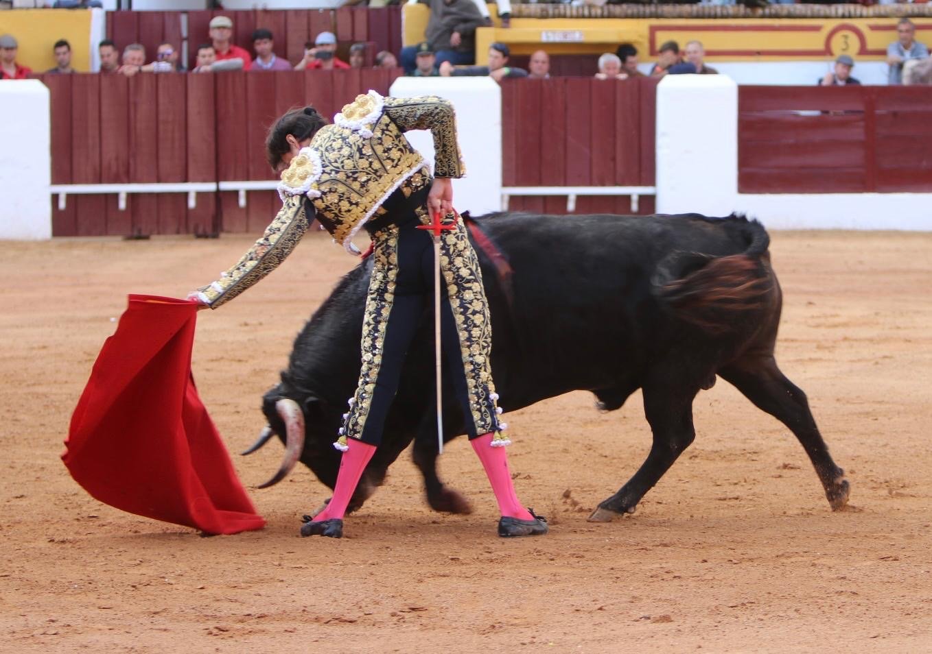 001e8f98 4d1d 4924 8eee ae1e2091ad69 1