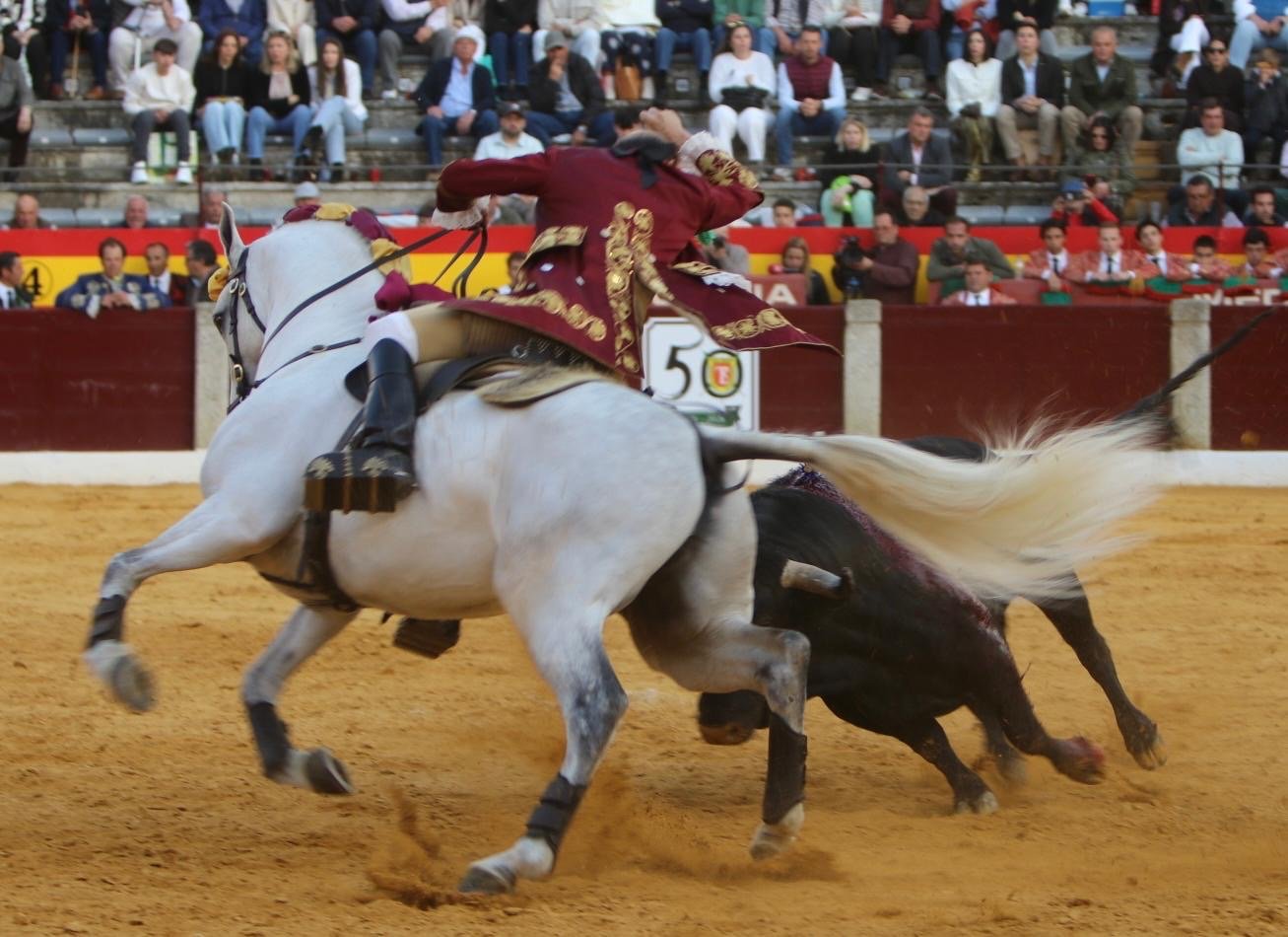 00732082 b665 4fe8 9243 39e1b690bdde