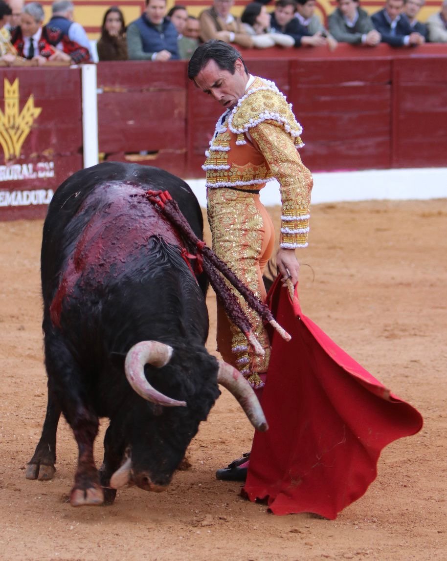 01838d2a e976 4621 be88 ba536349a776