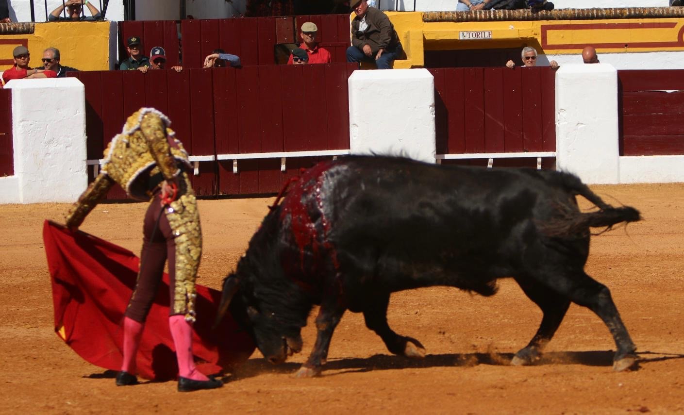 05f99fb3 4be7 4c73 ae9d f535613258eb