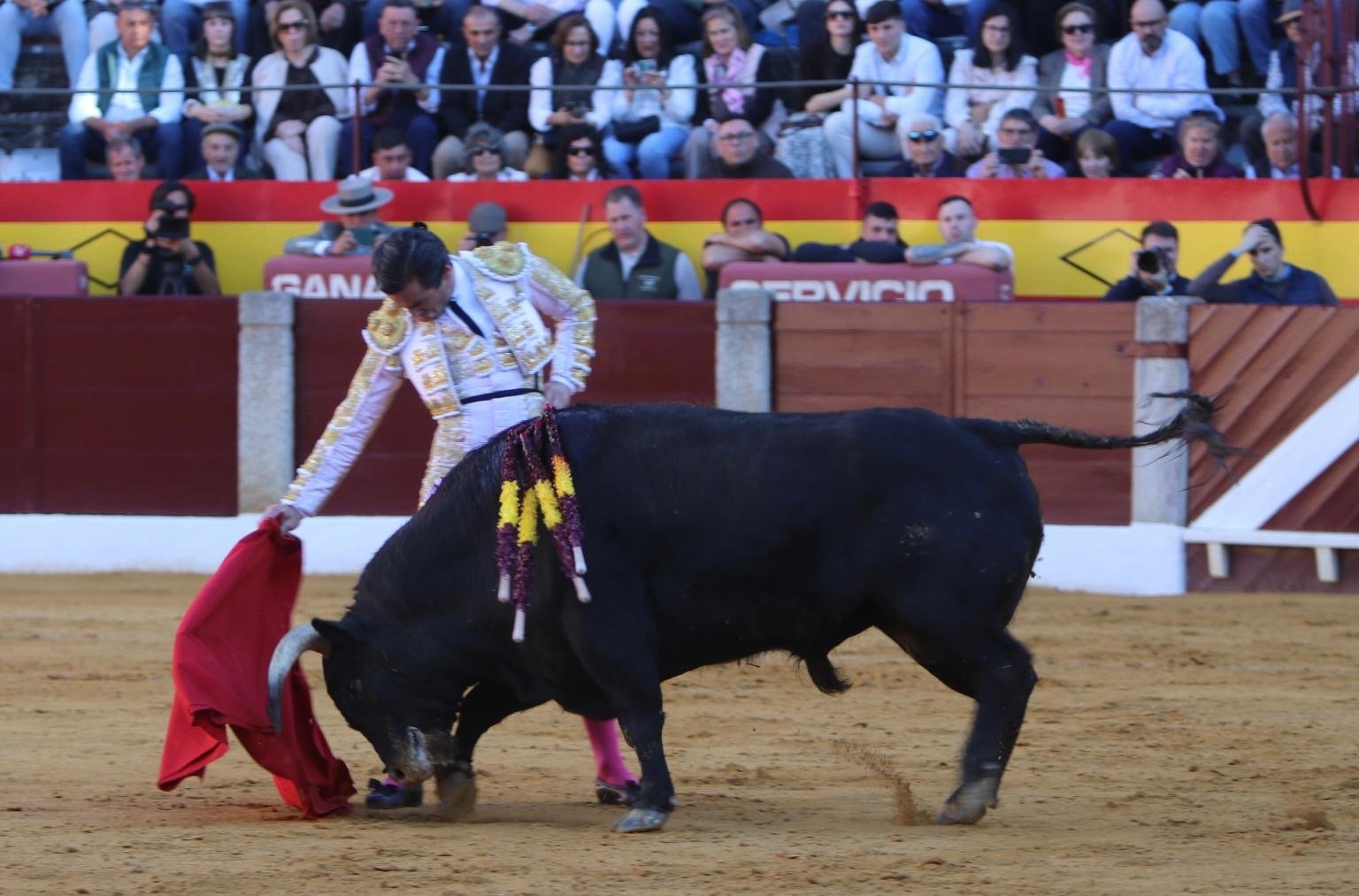 097035bf d8b4 4ee3 be7d 0fdd5846eeda