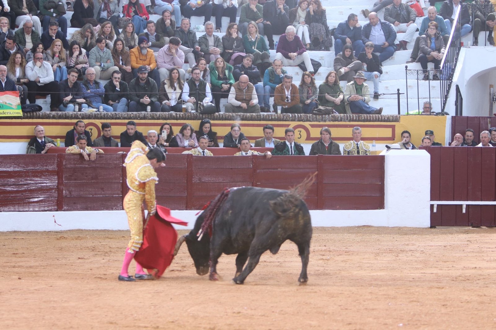 0c6d170f f335 4c02 8054 554c640ffc54