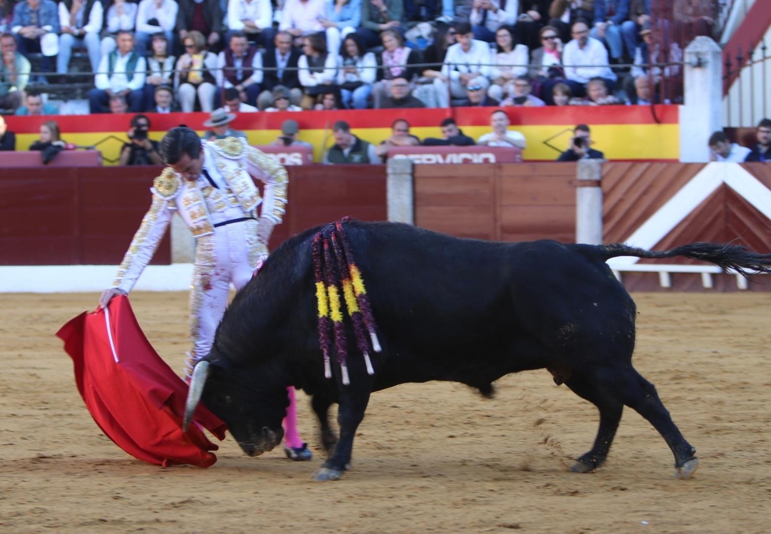 0de65b1b 2195 4766 9653 f8ff1e4aff3c