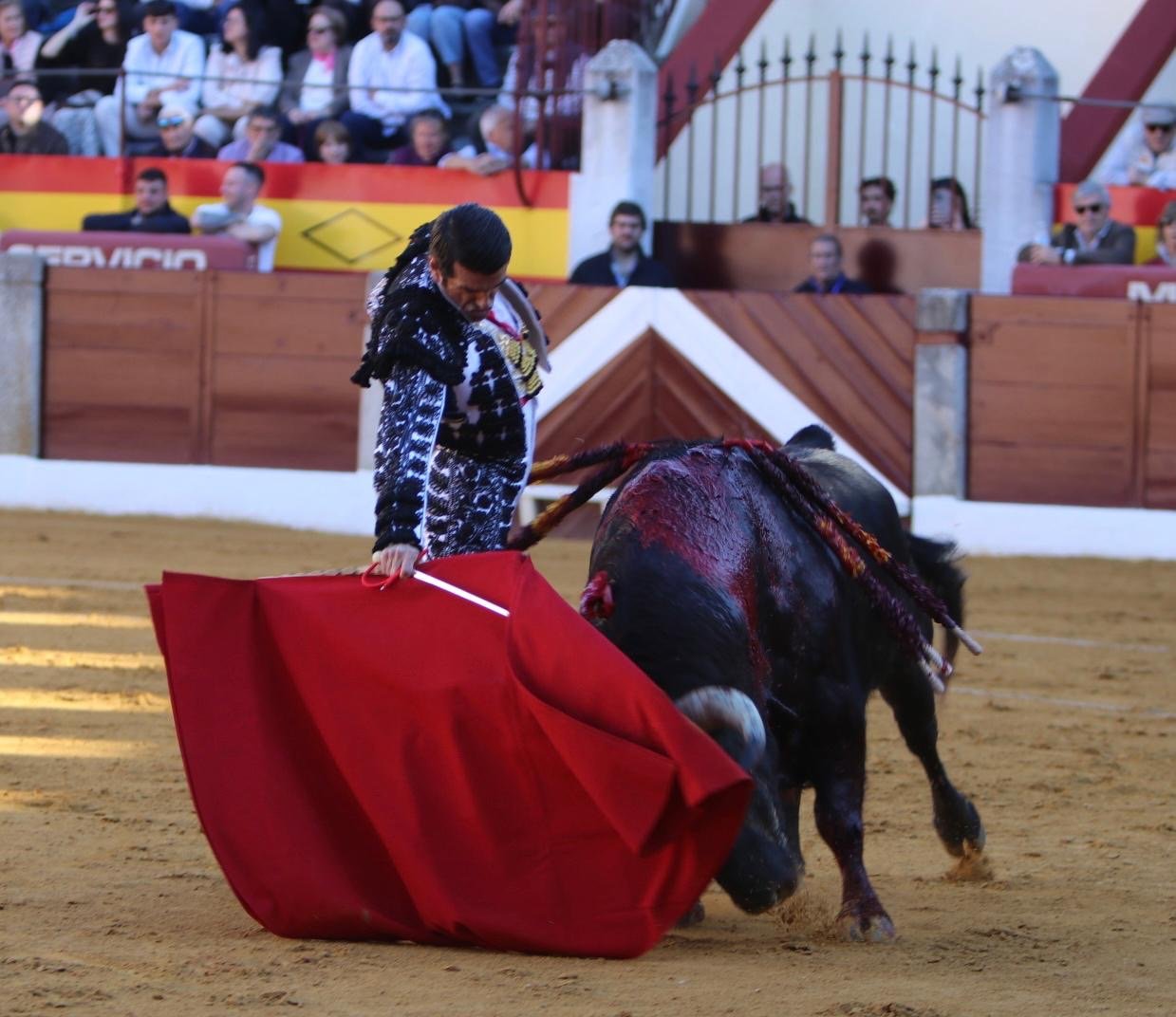 11639487 2593 4339 aef2 22ec737f84b5