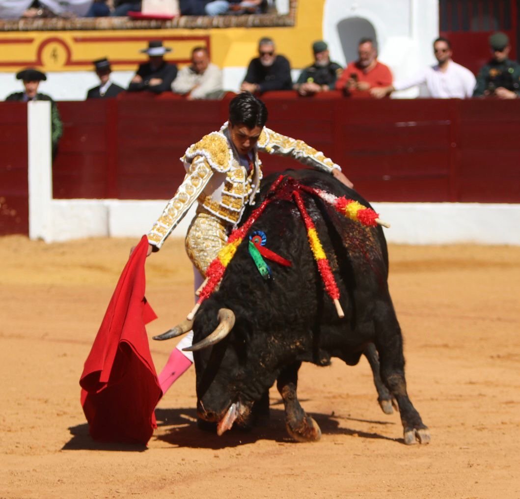 120b29e5 ca66 49ba af94 0134b67b7cc6