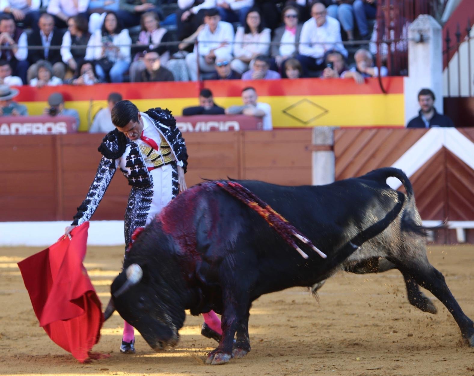 1283bffc cee7 4f29 abe9 cd961a55d02d