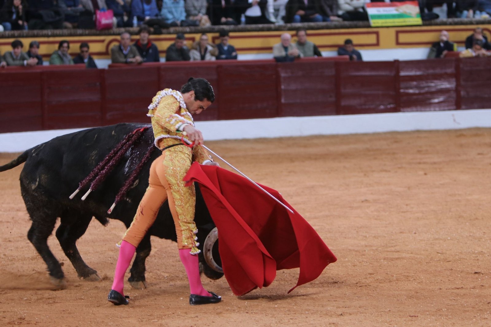 13c444be adc6 4ed5 a953 b365b2f810c8