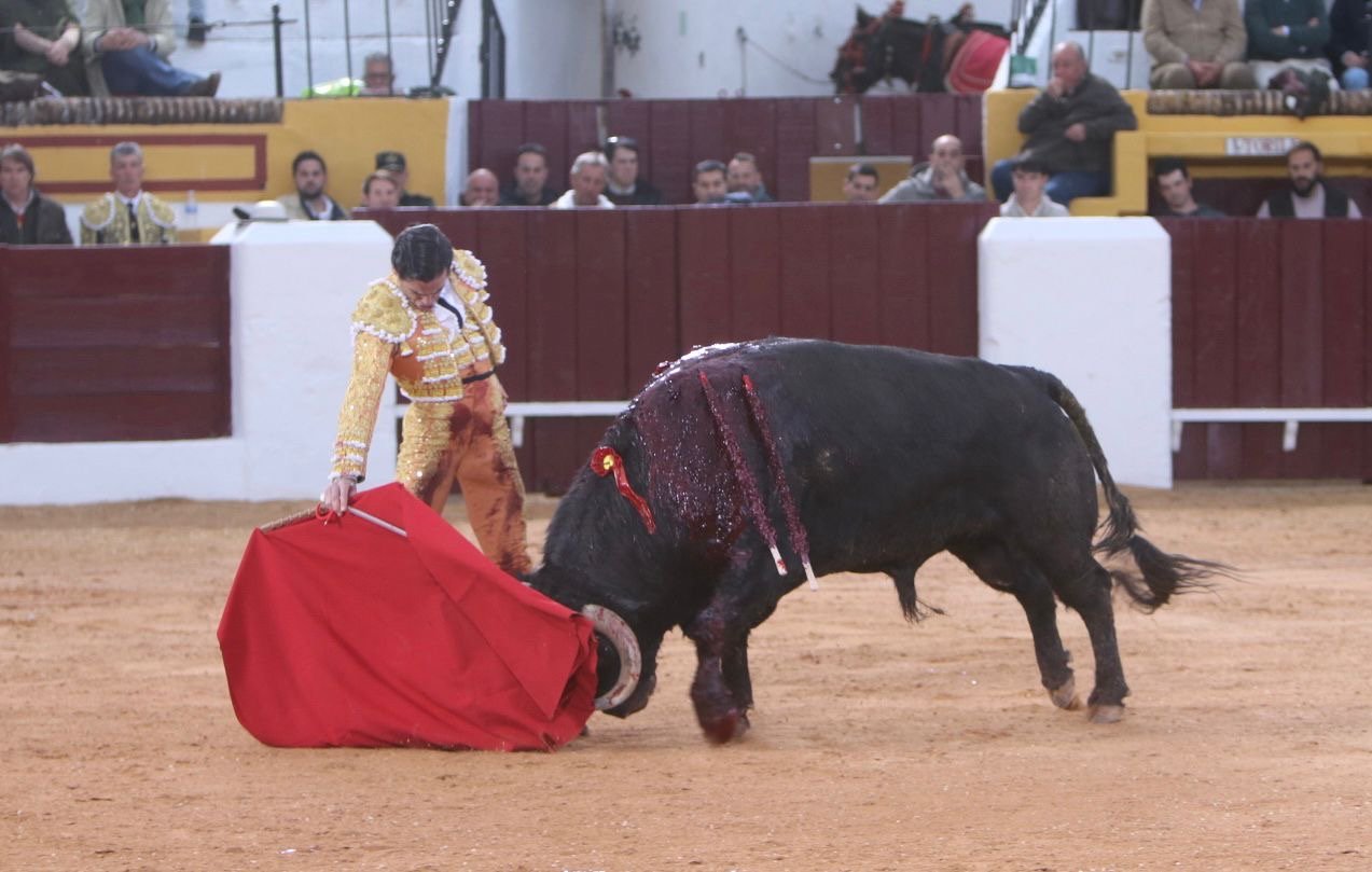 16bcc8b6 031e 40d4 8eb9 f7b641e31bb8