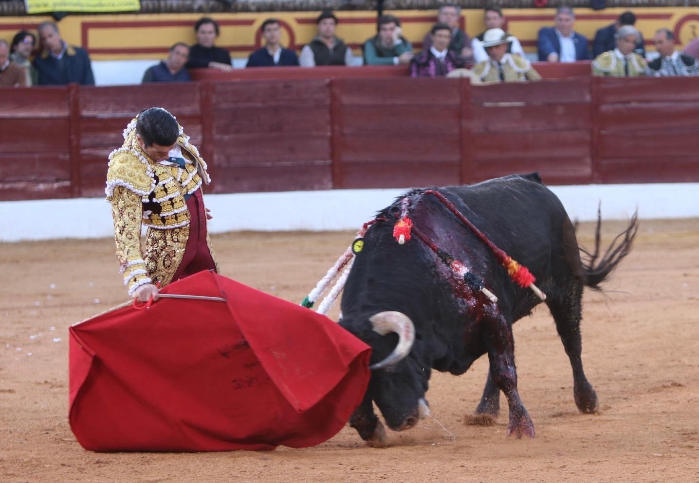 17309127 475a 4eb4 bdae 3cfc147f6ea2 1