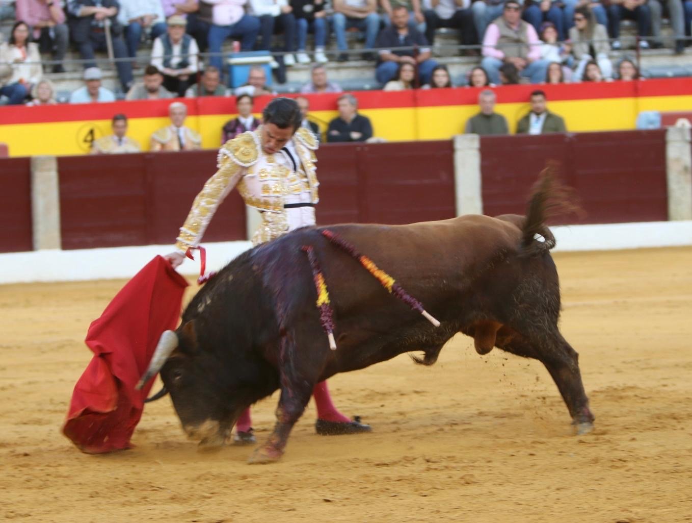 195a7042 da66 4cea ad6c 62f9b913d5f8