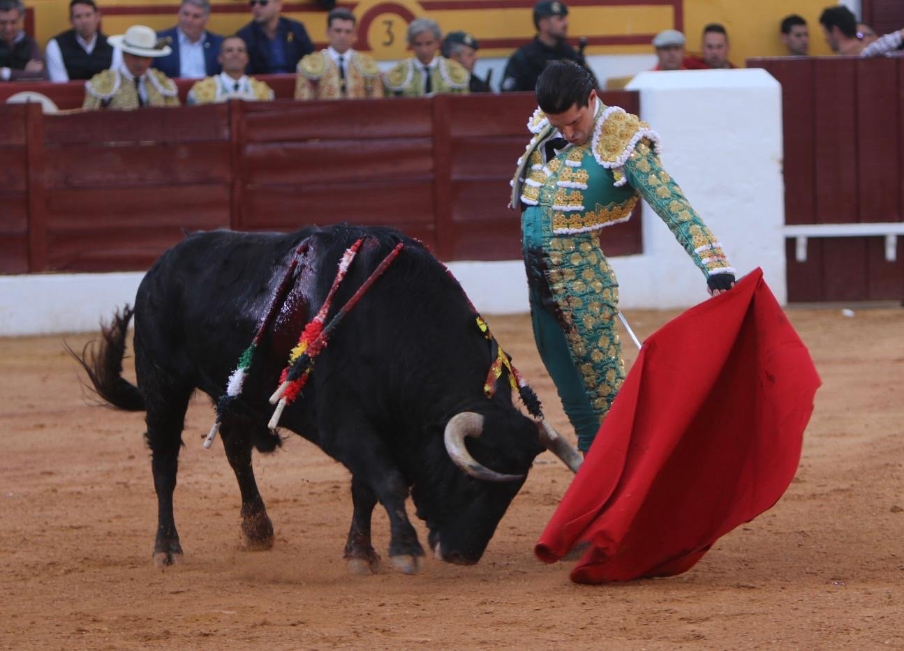 1bb22adc 4b34 42f6 8577 00cbfcd44bc8 1