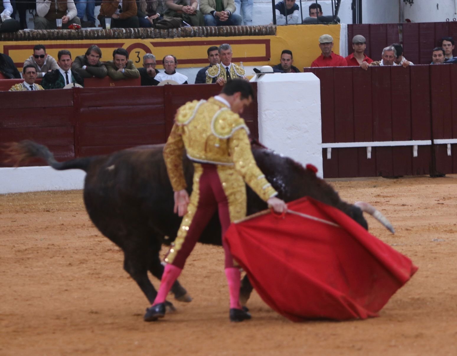 21bbfd8c d111 4b7c a678 299624883fd4